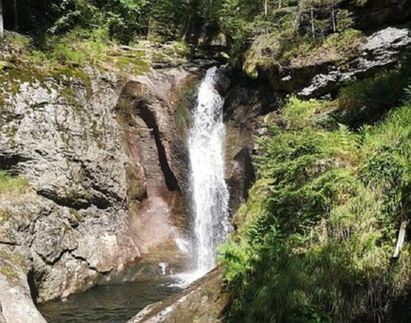 Ferienland Sonnenwald Fewo 46 Schofweg 0*,  Germany