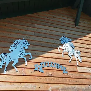 Ferienhaus Wild Life Ranch, Schöfweg